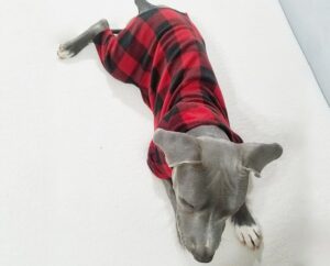 Black Red Buffalo Plaid Anti Pill Basic Fleece Big Dog Pajamas - Image 9