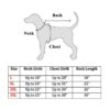 Dog size chart