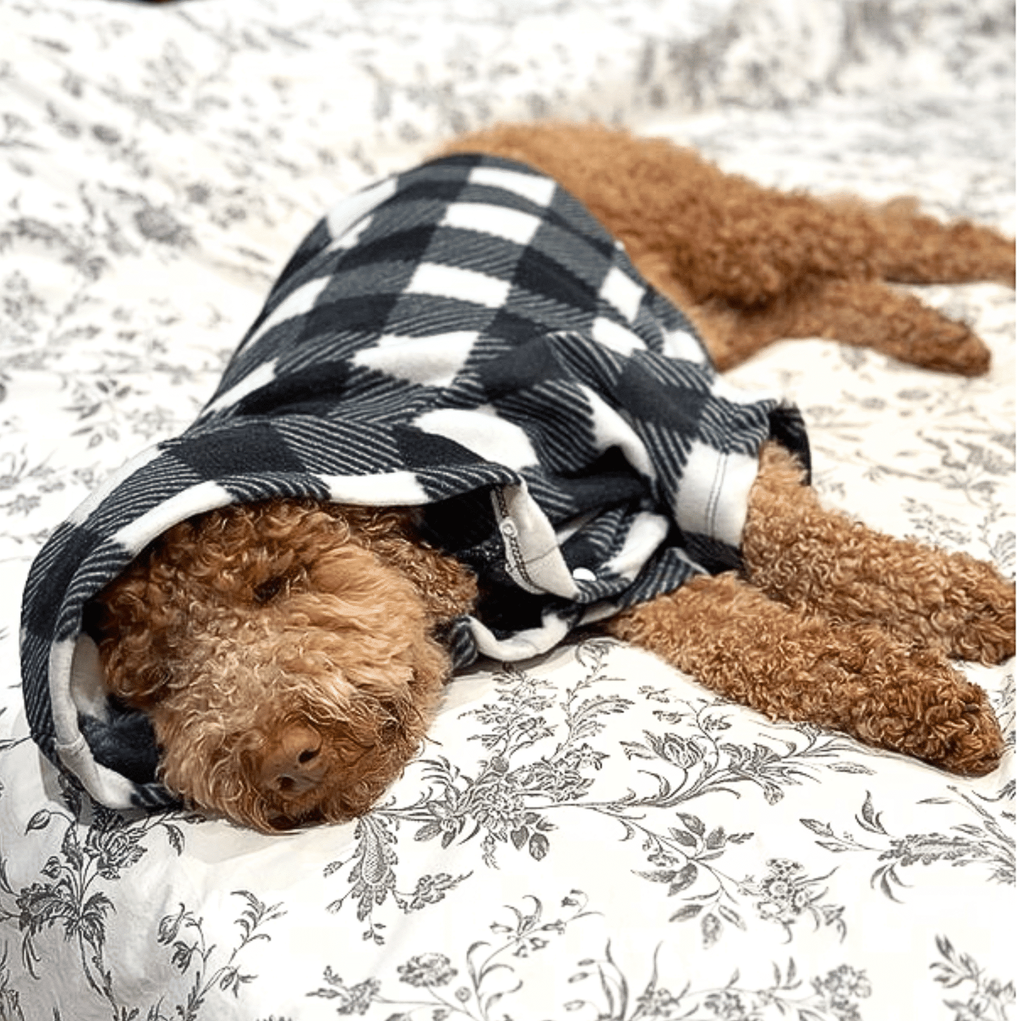 Black White Buffalo Plaid Anti Pill Basic Fleece Big Dog Pajamas