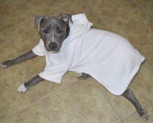 White Mid Weight Cotton Terry Cloth Big Dog Bathrobe - Image 6