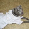 White Mid Weight Cotton Terry Cloth Big Dog Bathrobe - Image 3