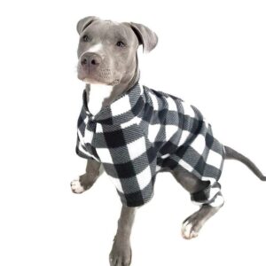 dog buffalo check pajamas