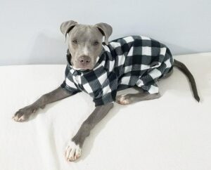 Black White Buffalo Plaid Anti Pill Basic Fleece Big Dog Pajamas - Image 9