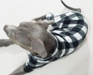 Black White Buffalo Plaid Anti Pill Basic Fleece Big Dog Pajamas - Image 8