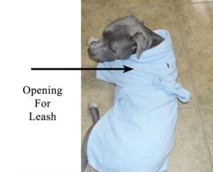 Blue Mid Weight Cotton Terry Cloth Big Dog Bathrobe - Image 2