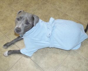 Blue Mid Weight Cotton Terry Cloth Big Dog Bathrobe - Image 3