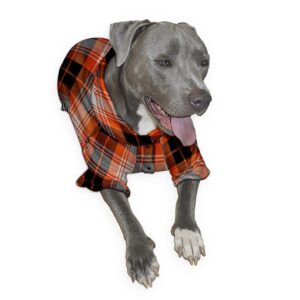 black red Madras plaid dog pajama