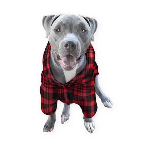 red and black flannel dog pajamas