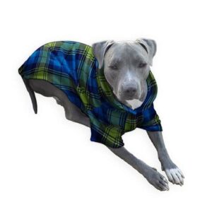 blue green plaid dog pajama