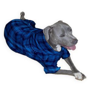 navy black plaid dog pajama