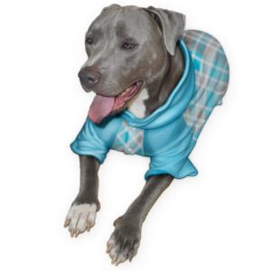 dog onesies for dogs