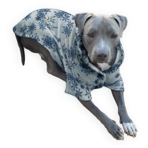 Blue White Snowflake Fleece Big Dog Pajamas – BigDogsCloset