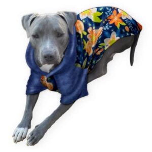 best dog pajamas