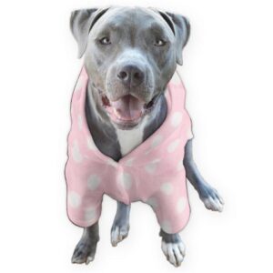 large dog onesie