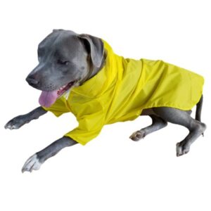 Large Dog Raincoat