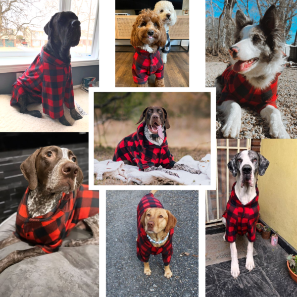 dogs in red pajama