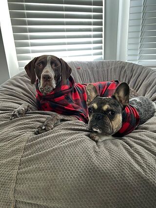 Dog Pajama for Big Dogs