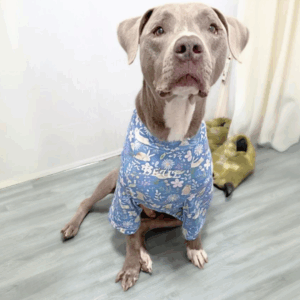 Floral Easter T-shirt