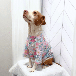 Embroidered Dog Shirt