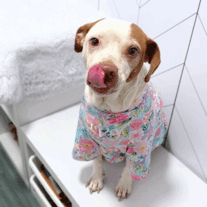 Easter Dog Shirt