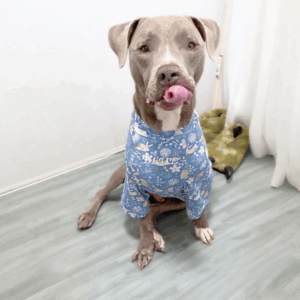 Blue Floral T-shirt