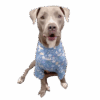 Big Dog Floral